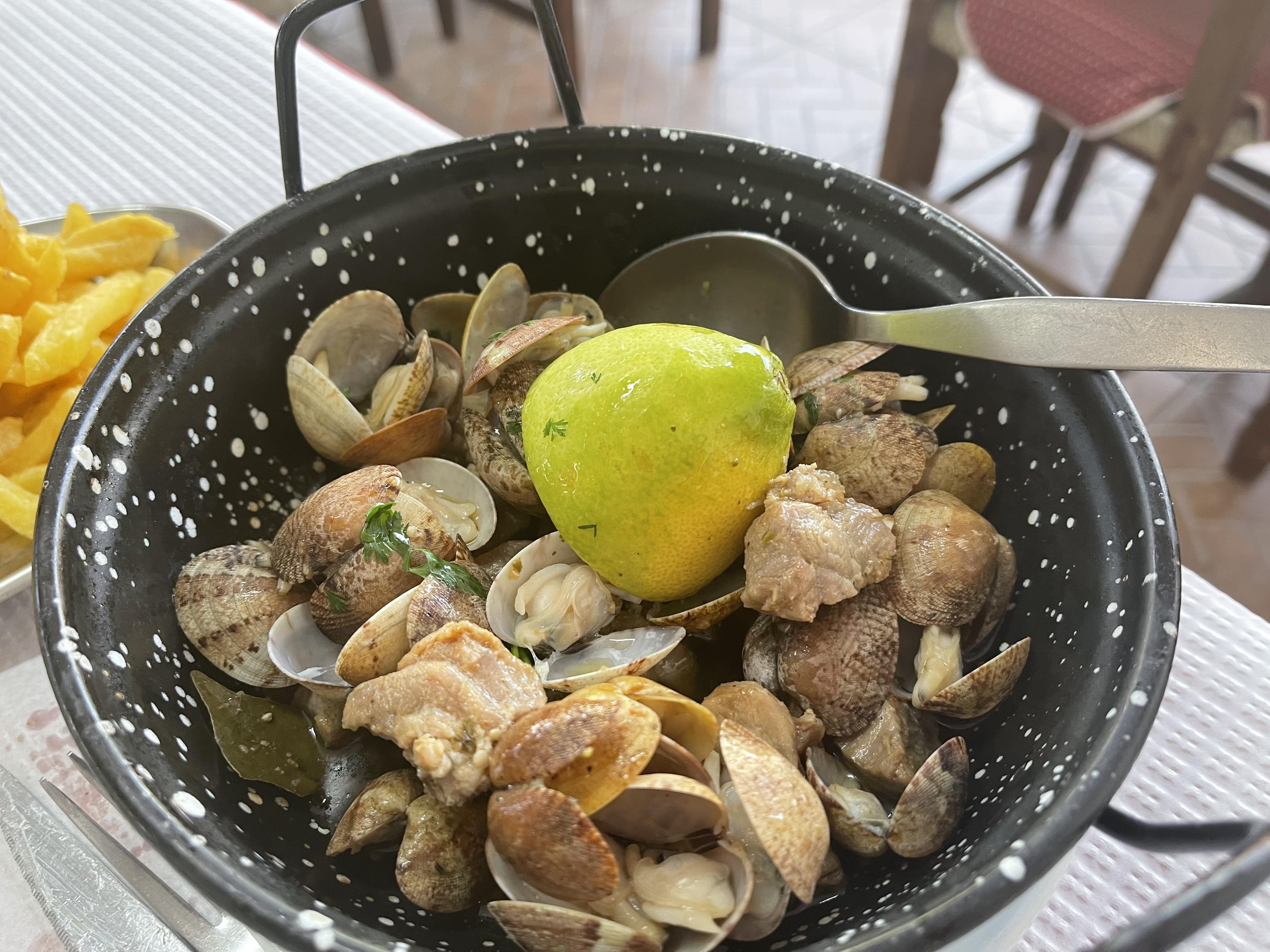 Solo Silva Inspiration